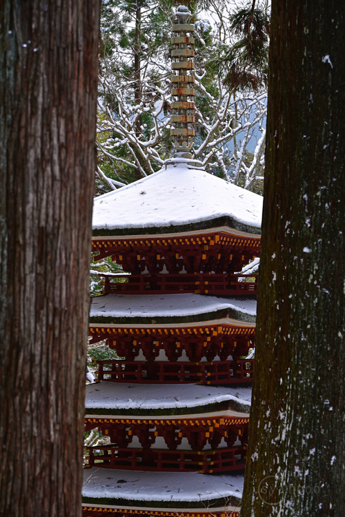 ニコン Nikon Z7II ／ 奈良 宇陀室生 室生寺の雪景 2022 - お写ん歩